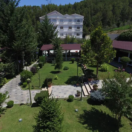 Elvis Hotel