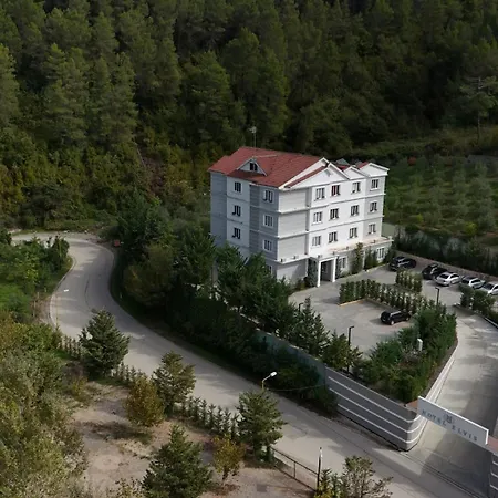 Elvis Hotel